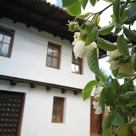 роден край * Elena