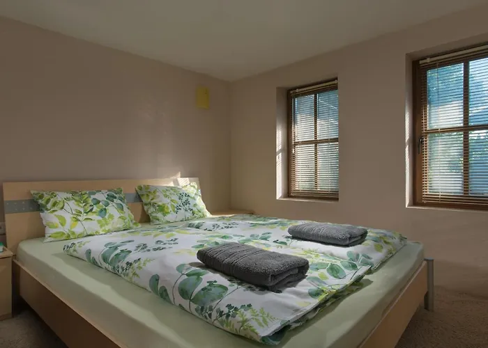 роден край *