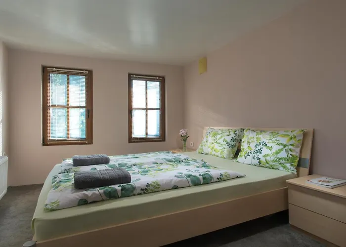 роден край * 엘레나