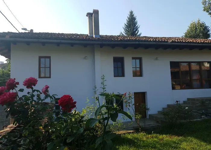 роден край 엘레나