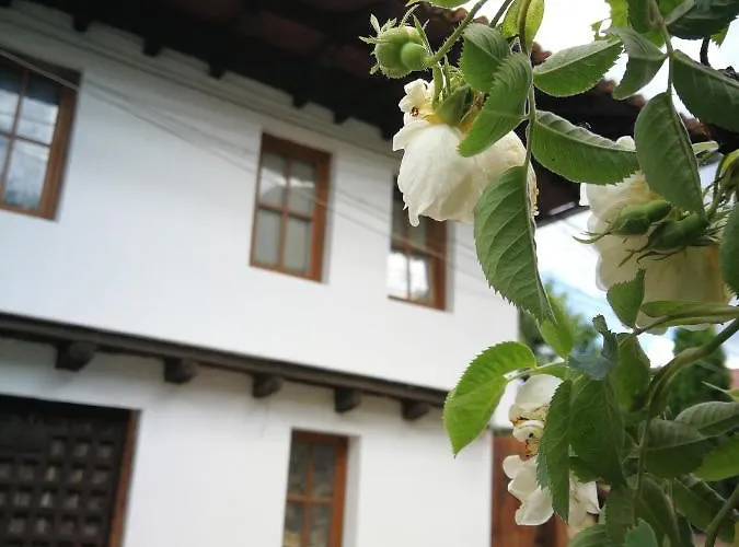 роден край * 엘레나