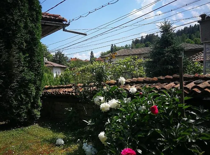 роден край 펜션 엘레나